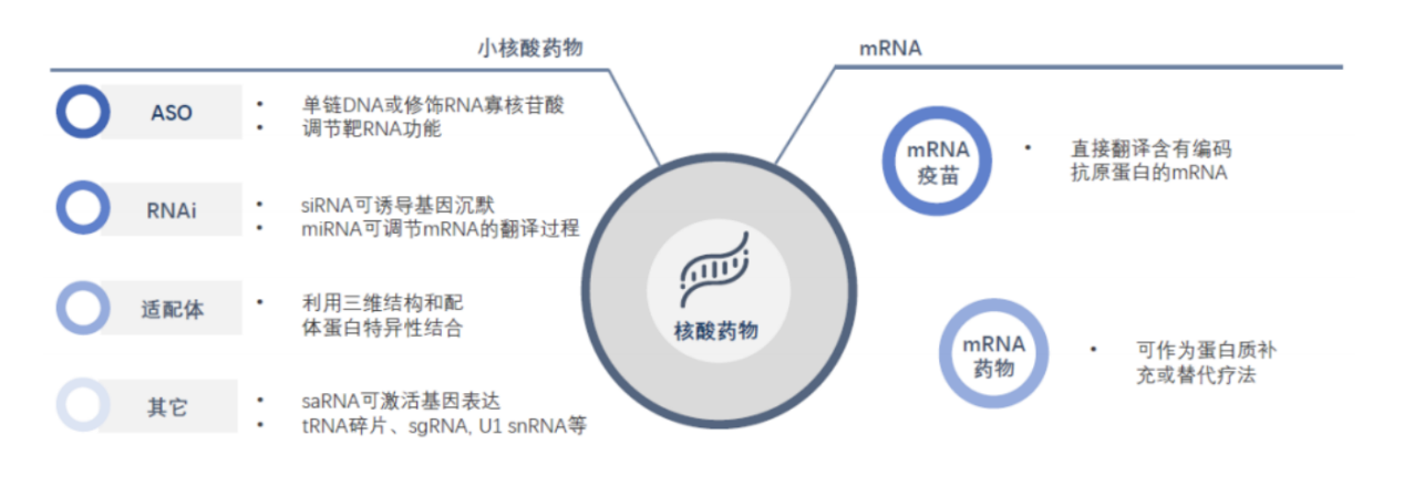 小核酸药物简介