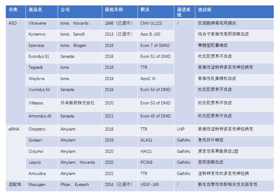 小核酸药物的国内研发进展